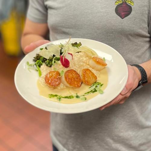 A person holds a plate of risotto topped with seared scallops, greens, and garnishes, set in a kitchen environment.