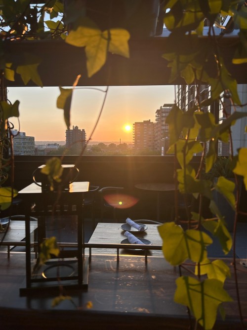 A sunset view through green ivy leaves, with tables set for dining in the foreground.