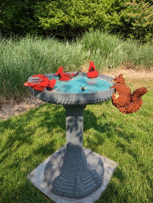 A birdbath made of colorful LEGO bricks, featuring red birds and a brown squirrel, set in a grassy outdoor area.