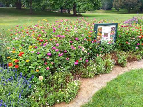 A vibrant flower garden with colorful blooms and a sign displaying information, set in a lush green park.