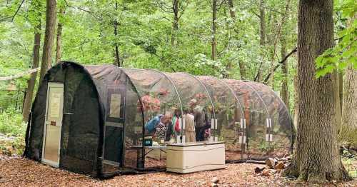 A mesh greenhouse in a forest, with people inside examining plants and flowers. Trees surround the structure.