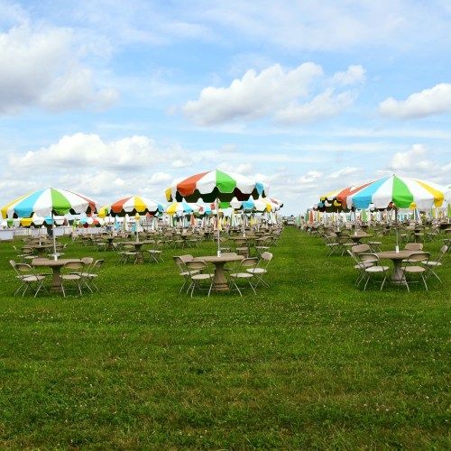 A grassy area with colorful umbrellas and tables set up for an outdoor event under a partly cloudy sky.