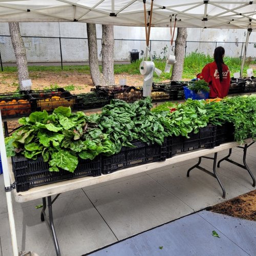 A market stall displays a variety of fresh greens and vegetables under a tent, with a person in the background.