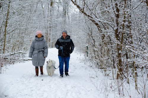 A man and woman walk a fluffy white dog on a snowy path surrounded by trees. Snowflakes gently fall around them.