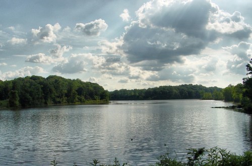A serene lake surrounded by lush greenery and fluffy clouds in a blue sky, reflecting the peaceful landscape.