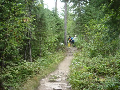 A narrow trail winds through a lush green forest, with hikers visible in the distance among the trees.