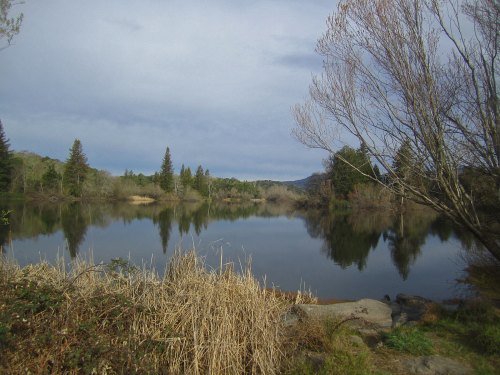 A serene lake surrounded by trees and grasses, reflecting the cloudy sky and distant hills.