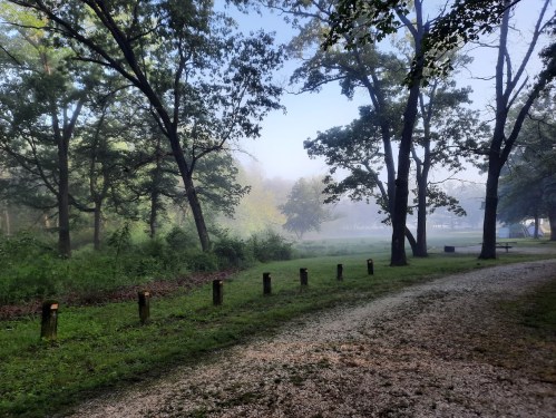 A misty morning scene in a park, featuring a gravel path lined with wooden posts and lush greenery.