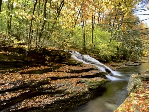 A serene stream flows over rocky terrain, surrounded by vibrant autumn foliage in a peaceful forest setting.