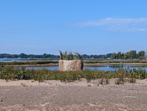 A sandy area with a small water body, featuring a straw bale surrounded by tall grass and greenery under a clear blue sky.