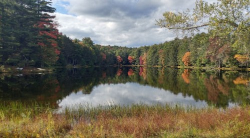 A serene lake surrounded by trees with autumn foliage, reflecting the colorful landscape under a cloudy sky.
