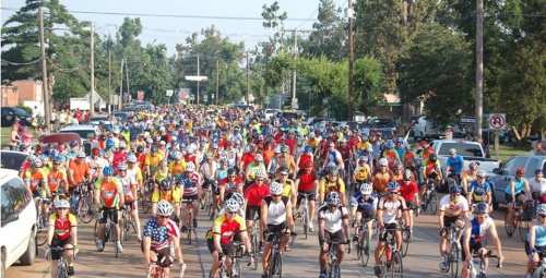 A large group of cyclists in colorful jerseys riding together on a street, surrounded by trees and parked cars.