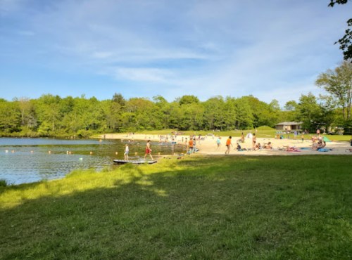 A sunny beach scene with people enjoying the water and sand, surrounded by green trees and a clear blue sky.
