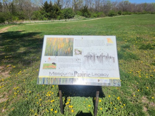 A sign about Missouri's prairie legacy stands in a grassy field with trees in the background and yellow flowers in bloom.