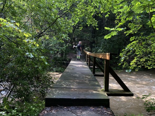 A person stands on a wooden bridge surrounded by lush greenery, overlooking a flowing river below.