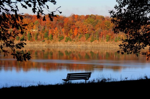 A serene lake scene with a bench in the foreground and vibrant autumn trees reflected in the water.