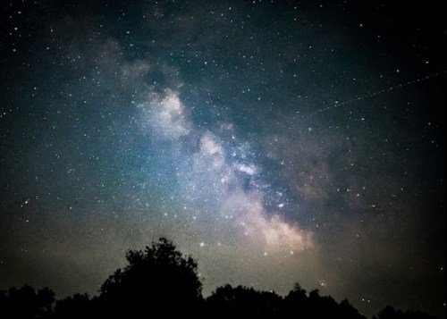 A starry night sky featuring the Milky Way, with silhouettes of trees in the foreground.