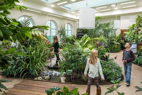 A lush indoor garden with children exploring pathways among tropical plants and a small water feature.