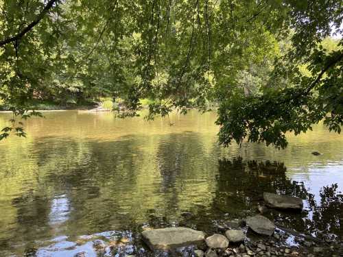 A serene river scene framed by lush green trees, with calm water reflecting the surroundings and scattered rocks along the shore.