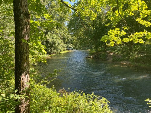 A serene river flows through a lush green landscape, surrounded by trees and sunlight filtering through the leaves.