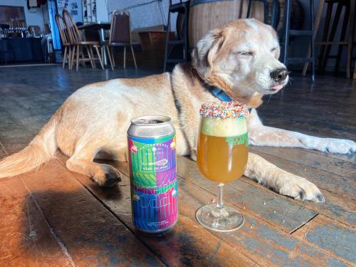 A dog lies on a wooden floor next to a colorful cocktail and a beer can, enjoying a sunny moment.