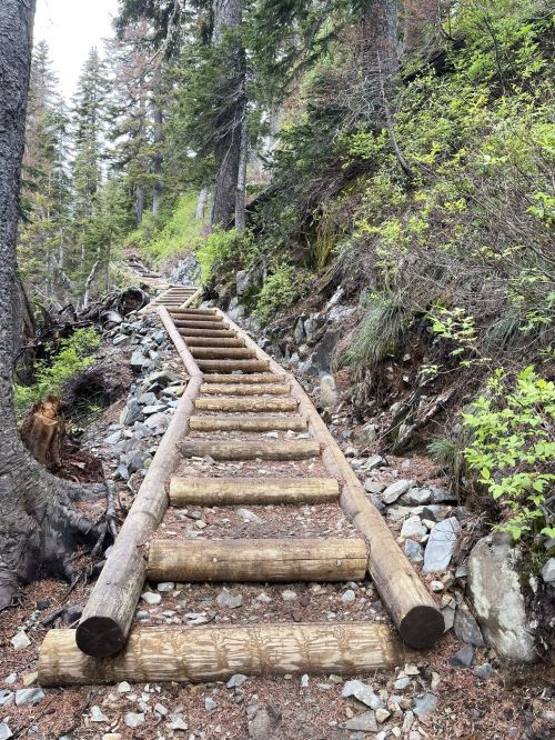 A wooden staircase leads up a forested trail, surrounded by trees and rocky terrain.