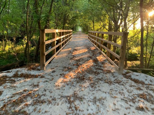 A wooden bridge over a gravel path surrounded by lush green trees and dappled sunlight.