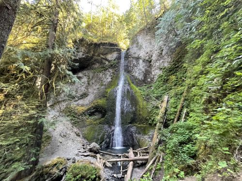 A serene waterfall cascading down a rocky cliff, surrounded by lush green trees and foliage.