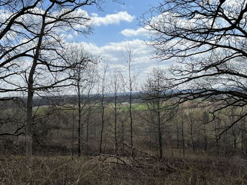 A view of a landscape with bare trees in the foreground and green fields under a partly cloudy sky in the background.