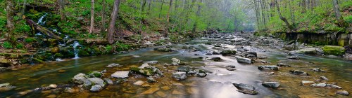 A serene forest stream flows through a lush green landscape, with rocks and trees lining the water's edge.
