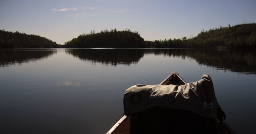 A serene view from a canoe on a calm lake, surrounded by trees under a clear sky.