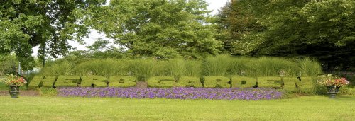 A lush herb garden sign made of greenery, surrounded by colorful flowers and tall grass in a sunny outdoor setting.