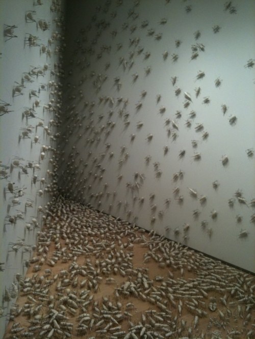 An art installation featuring numerous white insect-like figures covering the walls and floor of a corner.