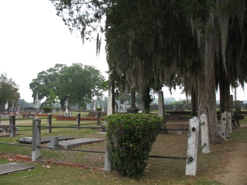 A serene cemetery scene with moss-covered trees and gravestones, creating a tranquil, reflective atmosphere.