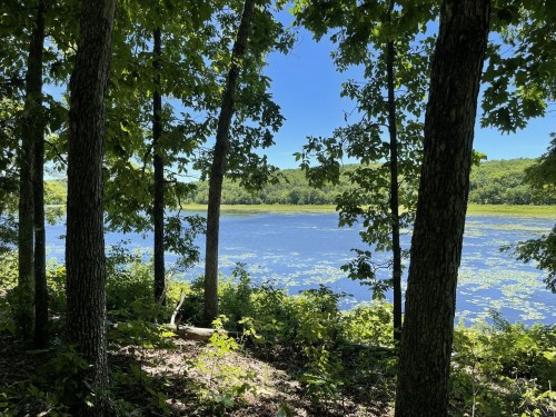 A serene lake surrounded by lush green trees under a clear blue sky. Water lilies float on the surface.