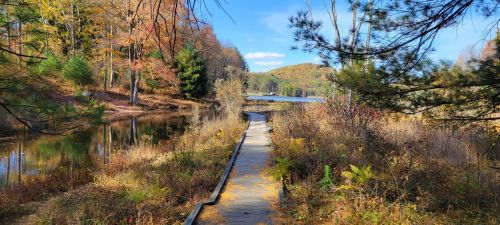 A wooden boardwalk winds through colorful autumn foliage beside a calm lake under a clear blue sky.
