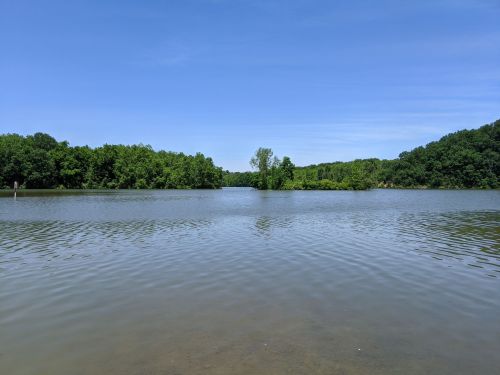 A serene lake surrounded by lush green trees under a clear blue sky. Gentle ripples on the water's surface.