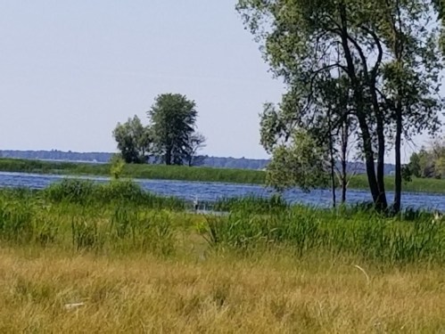 A serene landscape featuring a calm lake, grassy foreground, and trees along the water's edge under a clear blue sky.