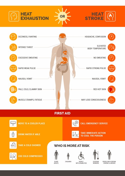 Infographic comparing heat exhaustion and heat stroke symptoms, first aid steps, and at-risk groups.