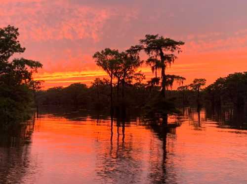 A vibrant sunset reflects on calm waters, surrounded by silhouetted trees and lush greenery.