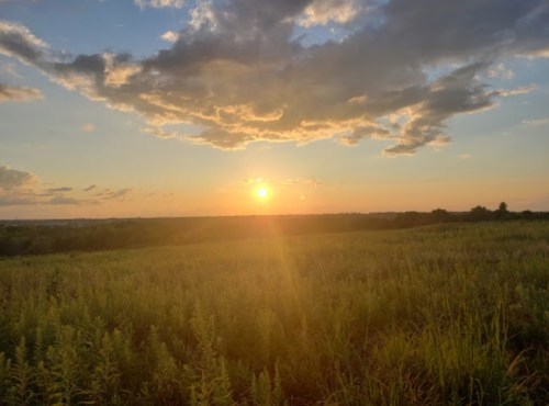 A sunset over a grassy field, with clouds scattered in the sky and a warm glow illuminating the landscape.
