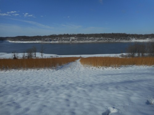 A snowy landscape with a path leading down to a river, surrounded by golden grass and trees under a blue sky.