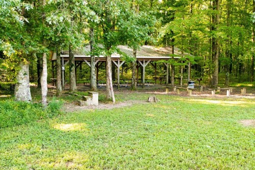 A wooden pavilion surrounded by trees in a grassy area, with picnic tables underneath and seating around.