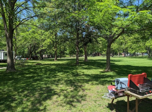 A sunny park scene with green trees, a grassy area, and a table with a grill and cooking supplies.