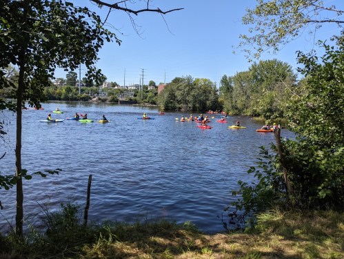 A vibrant scene of kayakers paddling on a river, surrounded by lush greenery and a clear blue sky.