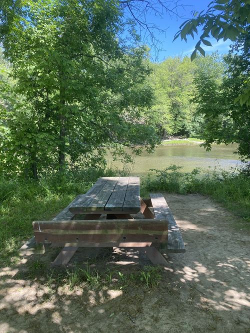 A wooden picnic table surrounded by trees, overlooking a calm river on a sunny day.