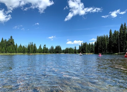 A serene lake surrounded by lush green trees under a bright blue sky with fluffy clouds.
