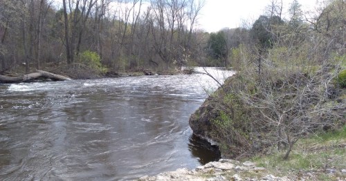 A serene river flows through a wooded area, with trees and shrubs lining the banks under a partly cloudy sky.