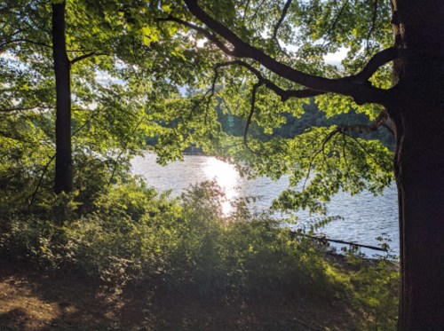 A serene view of a river reflecting sunlight, framed by lush green trees and foliage.
