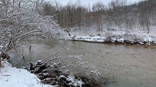 A snowy riverbank with bare trees and a gently flowing river, surrounded by a winter landscape.